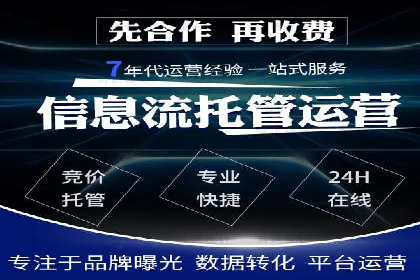某电商平台的SEM投放全流程案例